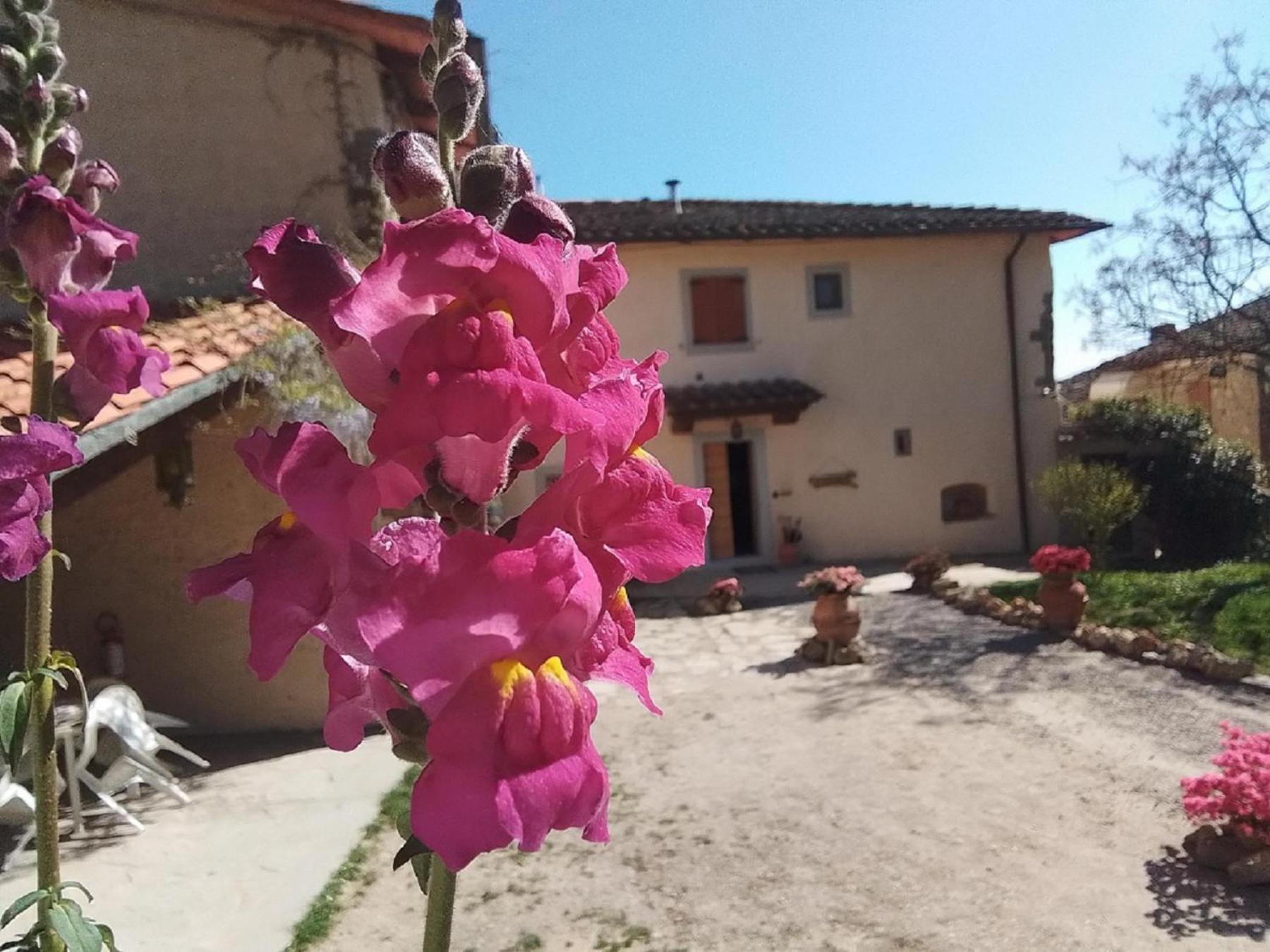 Casa Vacanze Podere Ugolini Ronta Ngoại thất bức ảnh