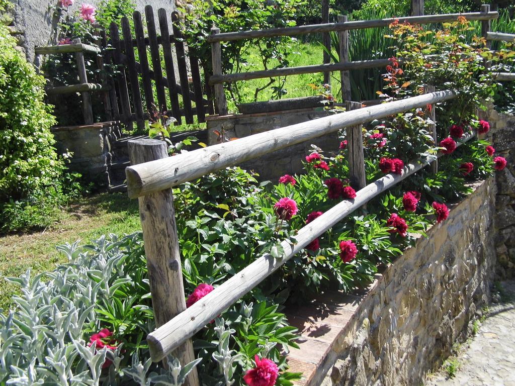 Casa Vacanze Podere Ugolini Ronta Ngoại thất bức ảnh