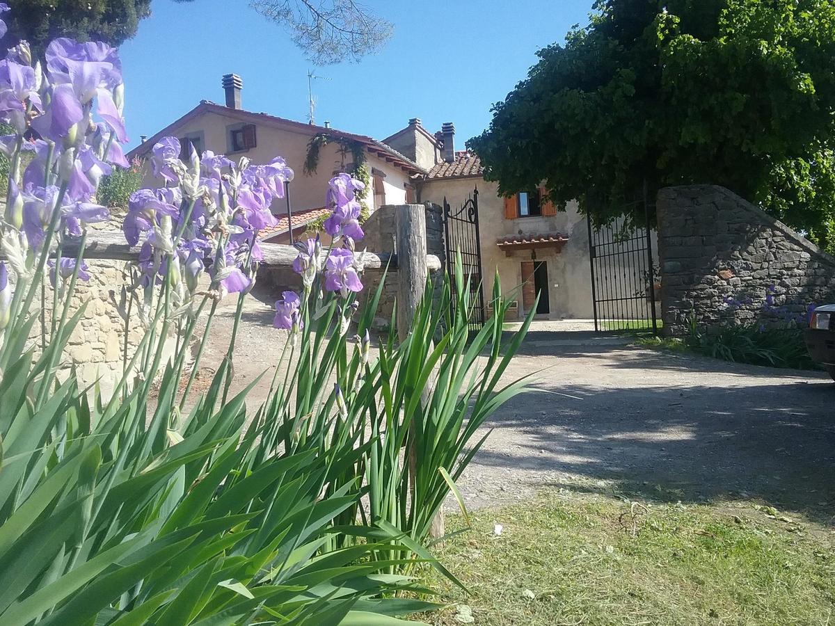 Casa Vacanze Podere Ugolini Ronta Ngoại thất bức ảnh