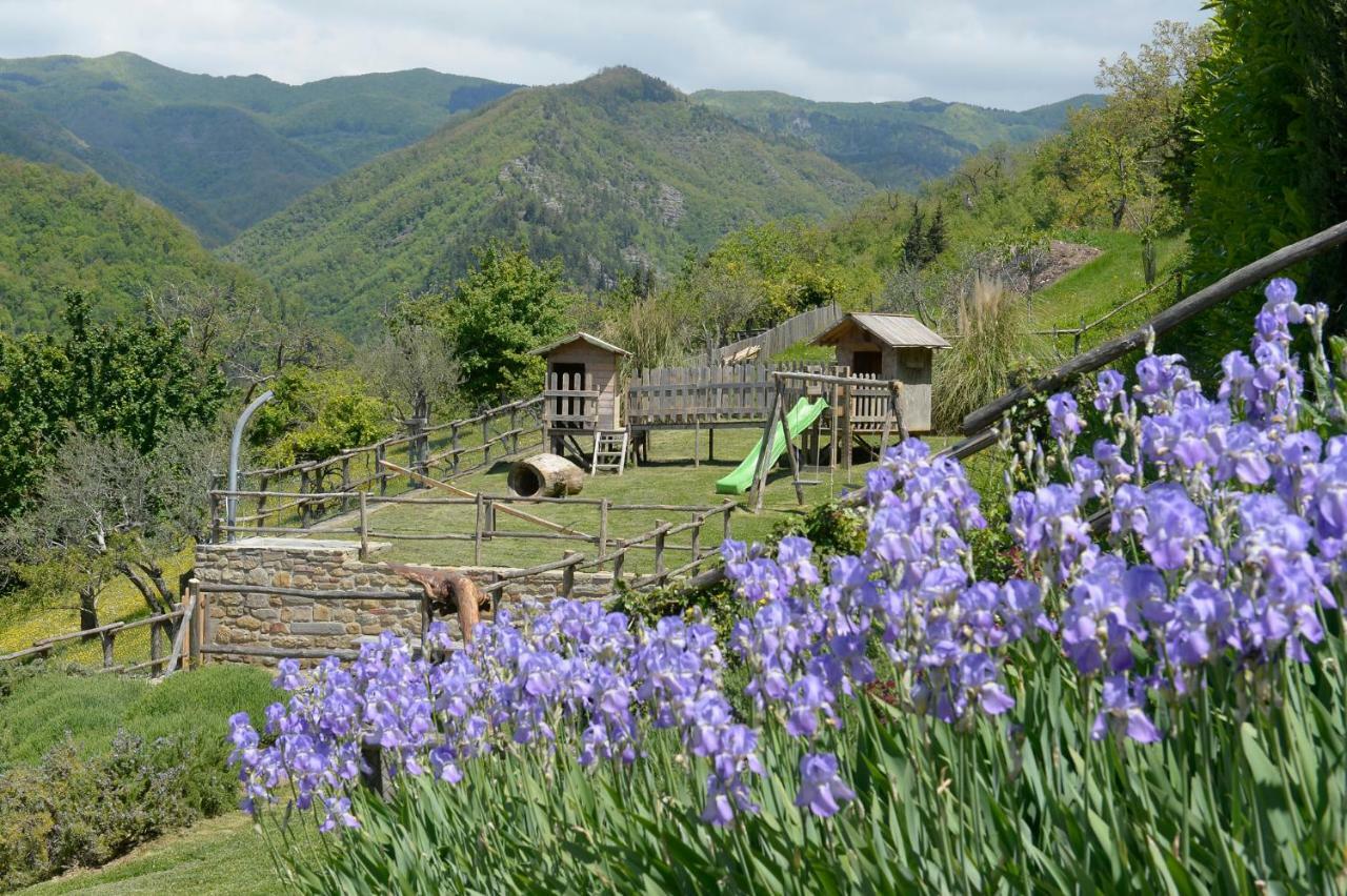 Casa Vacanze Podere Ugolini Ronta Ngoại thất bức ảnh